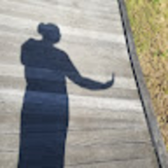 Meet your Posher, Tawana - Picture 1 of 1